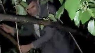 Kumar Baskınında Yakalanmamak Için Ağaca çıktı Kumar Baskınında Yakalanmamak Için Ağaca çıktı
