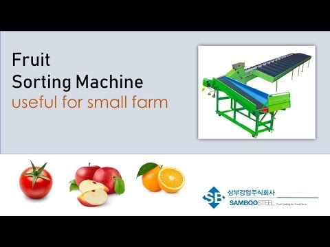 Sorting machine for Orange in Korea