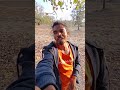 महुआ का मजा Insaan He Nai Janwar V le Rahe Hai Village Life in Jharkhand