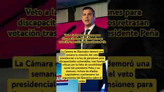 Veto a la ley de pensiones para discapacitados