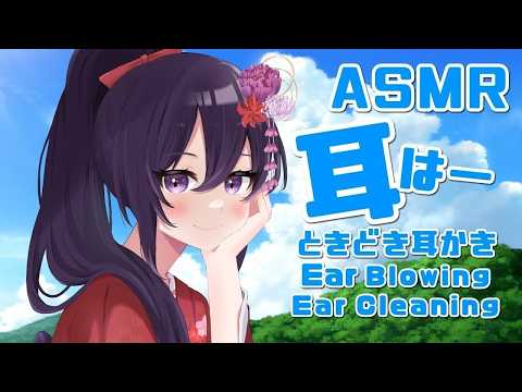 【ASMR】心地いい耳はー、ときどき耳かき Ear Blowing, Realistic Cotton Swab Ear Cleaning #955【会話あり/リクエストなし】