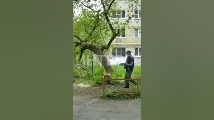 убивают природу экологию спиливание деревьев ради парковки вырубка деревьев не законно