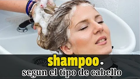 ¿Cuáles son los 3 tipos de champú?