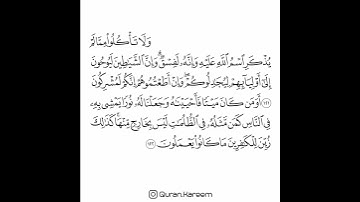 القارئ سعد الغامدي - سورة الأنعام - من الآية 121 إلى الآية 122