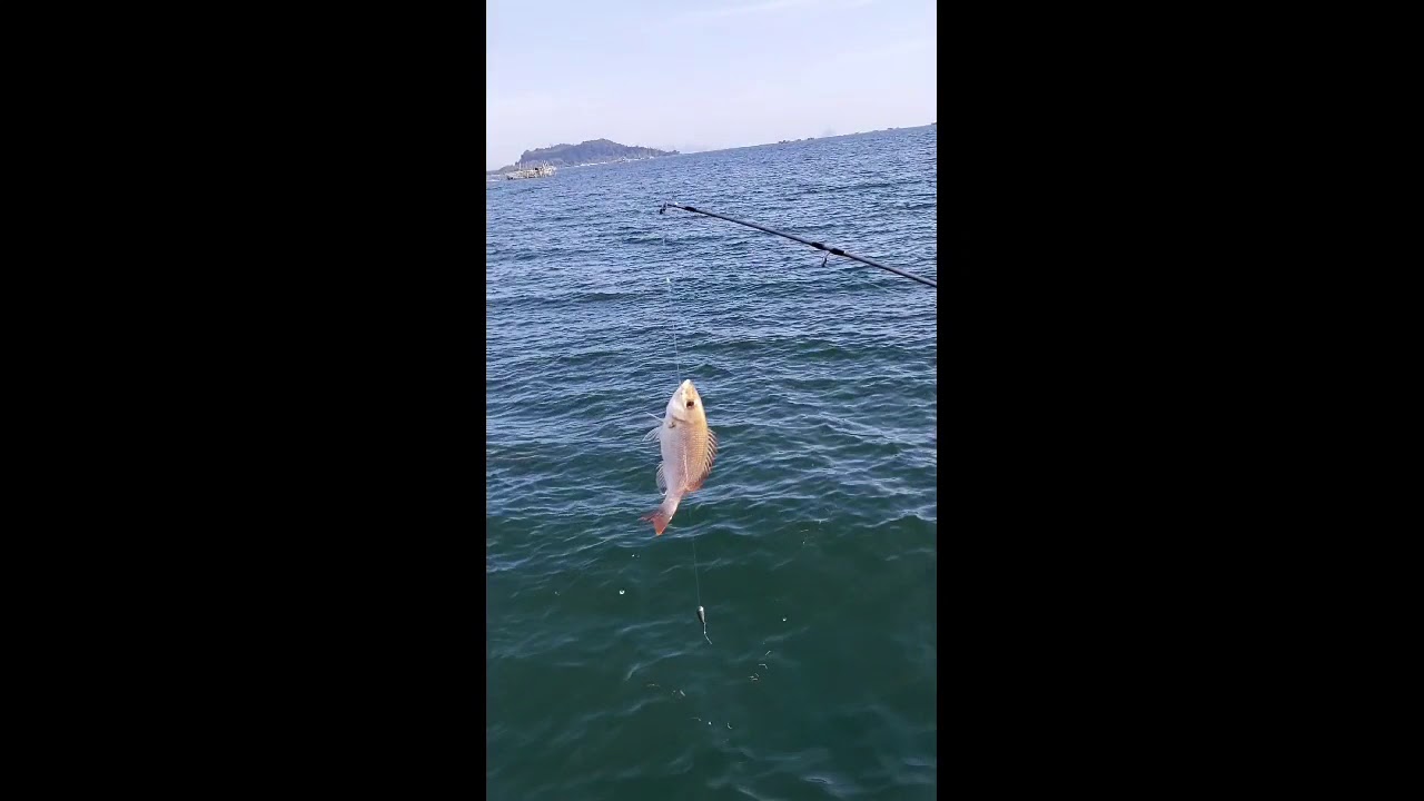 MANCING DI LAUT DEKAT BAGAN