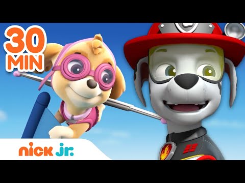 PAW Patrol Calling All Heroes! w/ Marshall, Skye & Mighty Pups | 30 Minute Compilation | Nick Jr.