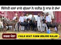               fauji goat farm binjoki