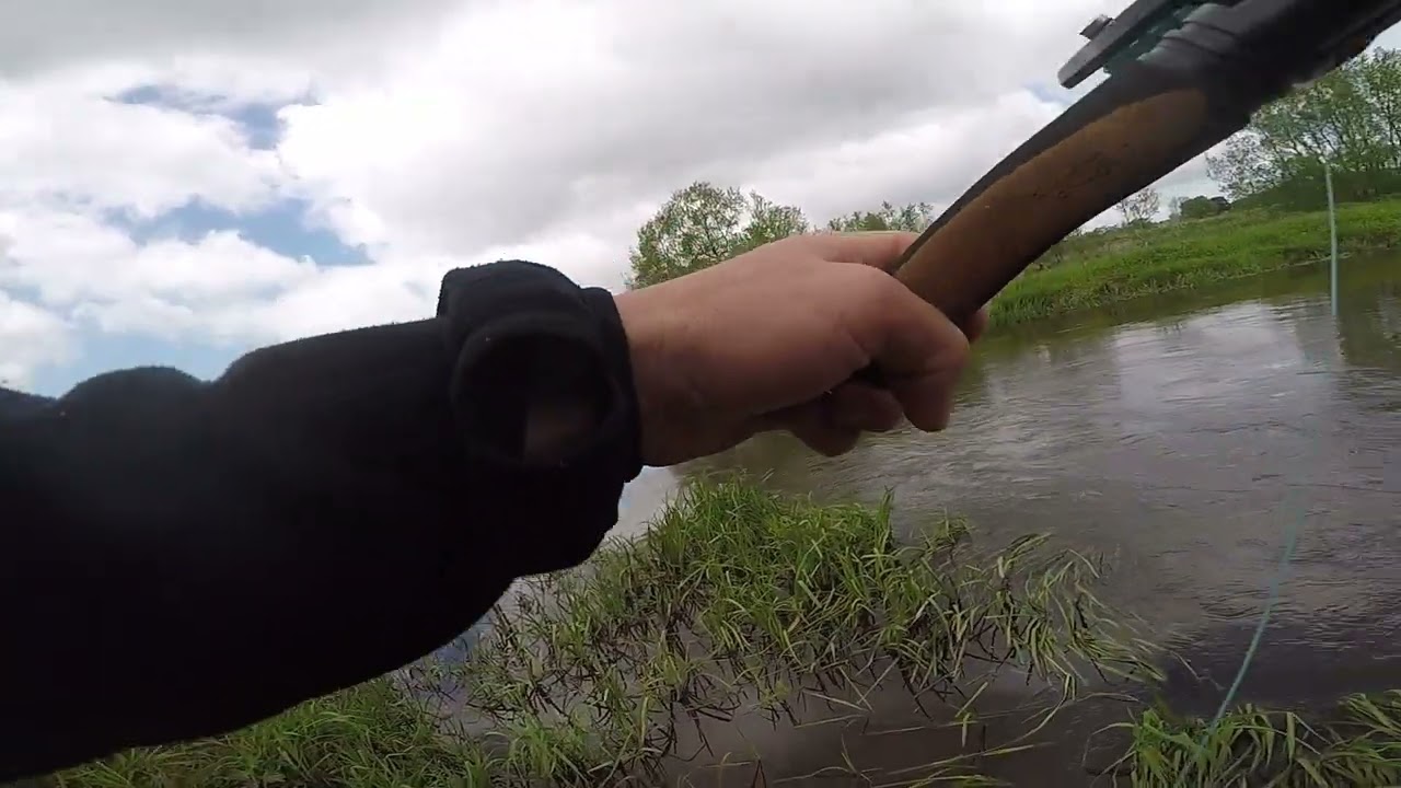 Salmon River Skjern 2