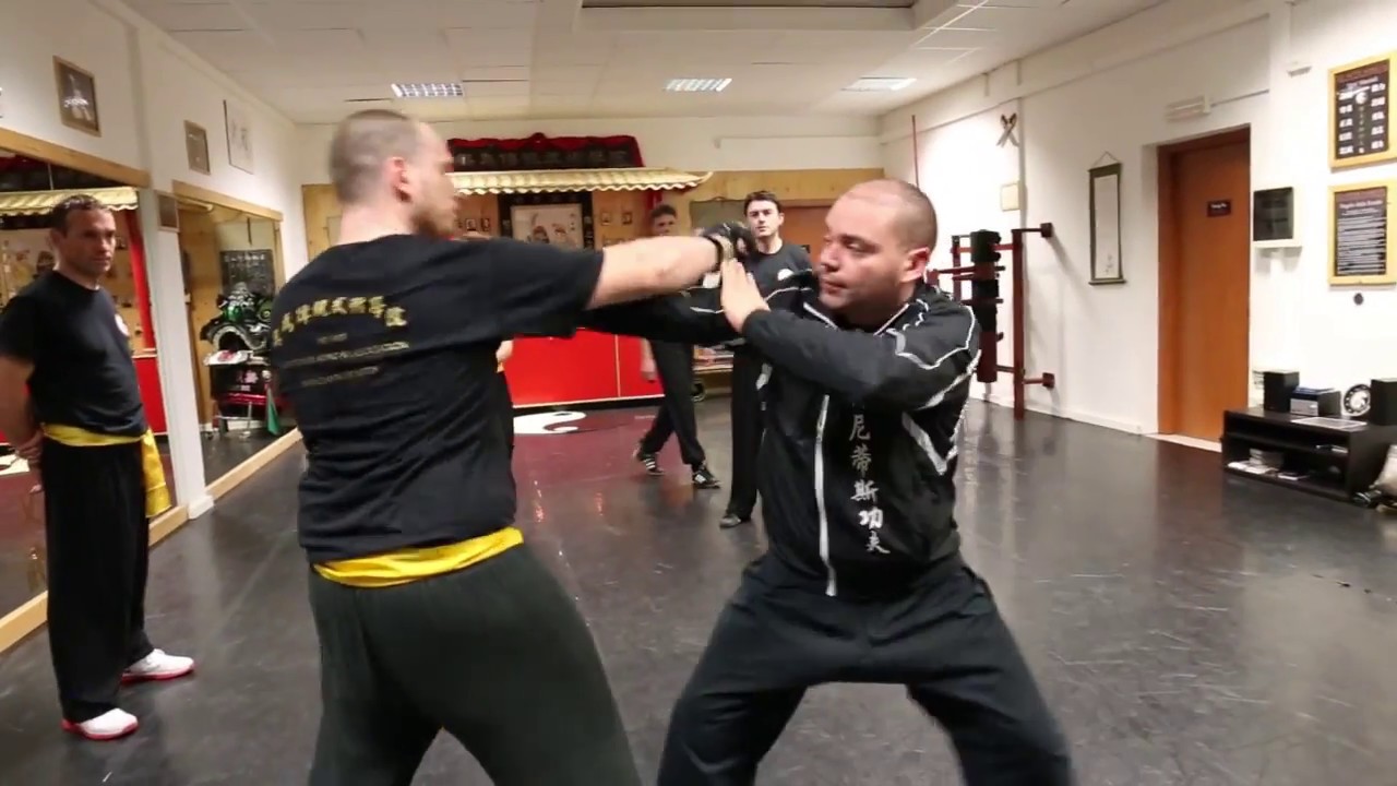 Choy Lay Fut - Fighting Techniques (蔡李佛 - 德 尼 蒂  斯 功夫 ) Part 3