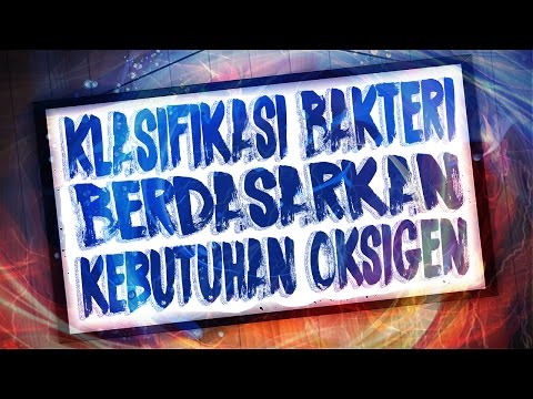 Klasifikasi Bakteri : Aerob & Anaerob