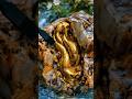 What Was Hidden Inside This Rock Shocked Everyone! ⛏️💰