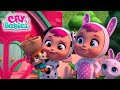 The Best Pet 🦊 CRY BABIES Full Episodes Magic Tears | Kitoons Cartoons for Kids