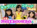 【ｷｬｻﾘﾝｺﾃｰｼﾞ】ﾌﾟﾘﾝｾｽｺｽﾁｭｰﾑ