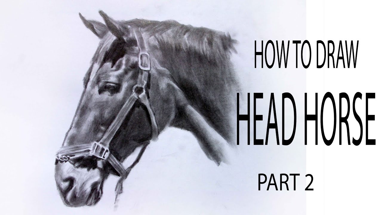 how to draw a realistic horse part two How to draw head horse part 2 #drawinghorse #tutorialdrawing