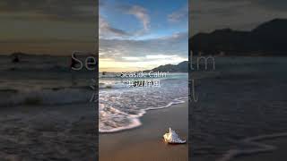 Seaside Calm 浜辺静風