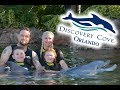 Discovery Cove Dolphin Swim - Florida November 2018