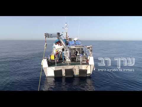 Ecoocean - Ruti