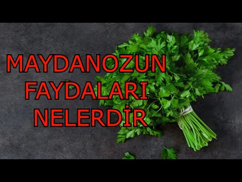 Video: Maydanozun Büyülü Ve Iyileştirici özellikleri