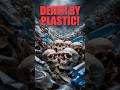 How One Company Secretly Poisoned The Planet? 🌍 #shorts #ytshorts #facts #planet