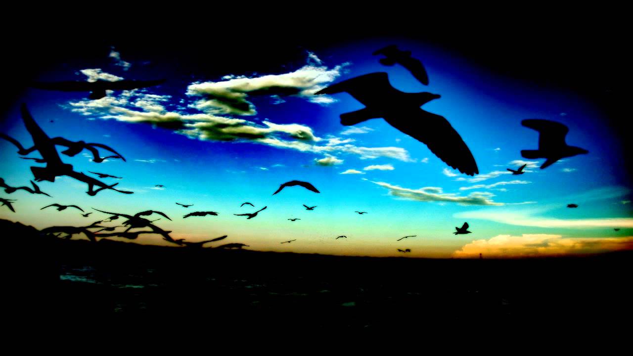 Elyonbeats - Fly With Me