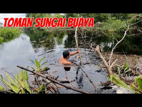 BERBURU TOMAN DI SARANG BUAYA
