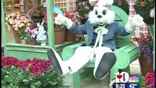 I Am The Easter Bunny