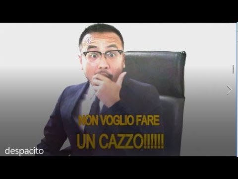 DESPACITO--job interview parody,sing to learn CHINESE,英文唱着学