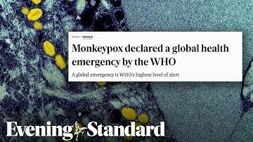 Monkeypox: All you need to know about the disease