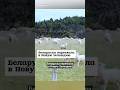 Беларуска переехала в Новую Зеландию #shorts