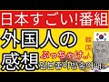 【海外の反応】日本すごい!番組への日本好き外国人の感想 / 일본 예찬 TV프로그램은 일본의 국뽕일까?