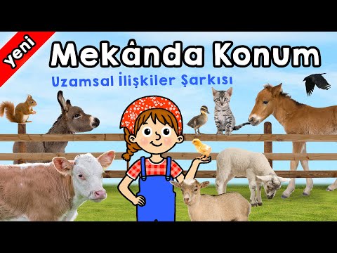 Mekanda Konum -Uzamsal İlişkiler-Sağında, solunda, yukarıda, aşağıda, yüksekte, alçakta, altında...