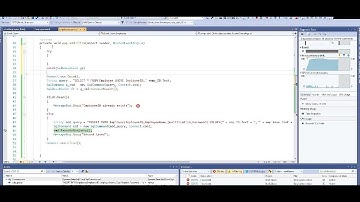 Exception Handling  in WPF C#