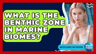 What Is The Benthic Zone In Marine Biomes? - Water Science For Everyone