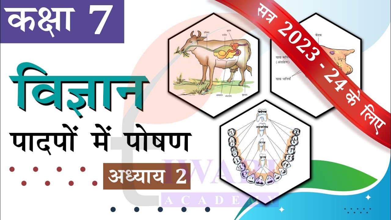 NCERT Solutions for Class 7 Science Chapter 2 प्राणियों में पोषण ...