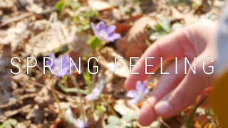 SPRING FEELING. Cinematic GH5 B-roll