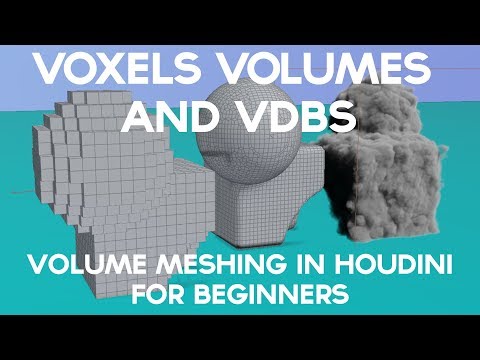 VOXELS VOLUMES AND VDBS!   Volume Meshing Workflows In Houdini for Beginners