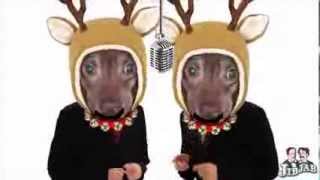 JibJab MacaReindeer