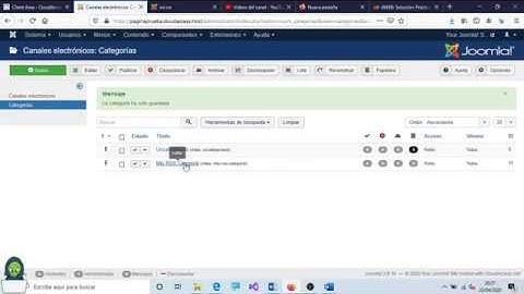 21   Crear una categoría para RSS, canales electrónicos o Feeds