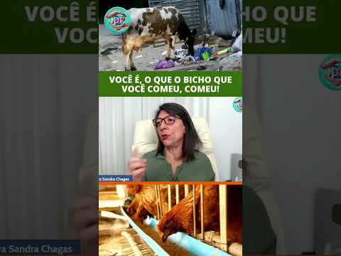 O Workshop Limpeza