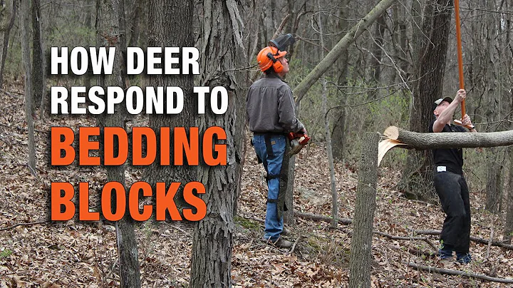 Dramatic Increase in Deer Activity in Hinge-Cut, FSI Bedding Blocks: Dr. Craig Harper Research