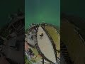 Insta360 más que una cámara de acción un amigo en tus aventuras… #insta360 #aventuras8k #viajes