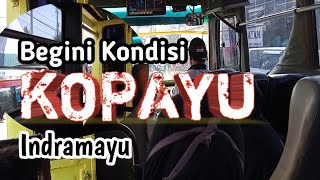 Kondisi Angkutan Umum Partrol - Jatibarang # AngkutanUmum