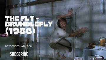 The Fly (1986) - Brundlefly - Jeff Goldblum - Geena Davis