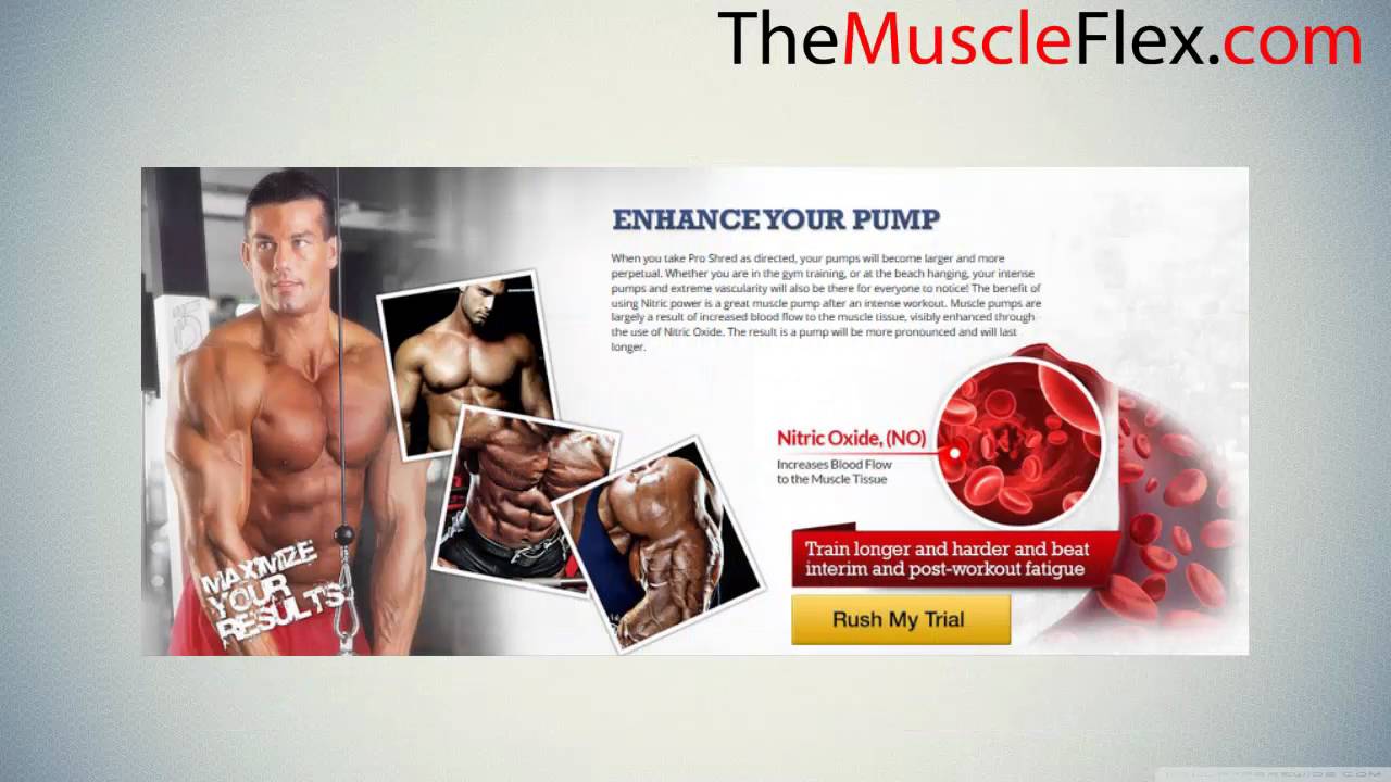 who sales pro shred elite who sales pro shred elite