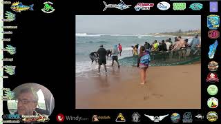 Sardines Netted at Umzumbe 17 June 2026 #sardinerun2026 #sardinenews #report #kzn