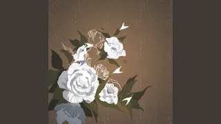 一枕万年 (网剧《君心难逑》插曲)