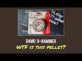 Gamo G-Hammer - Crazy Heavy Pellet, will it work for sub 12 fl/lb? USA series part 4.