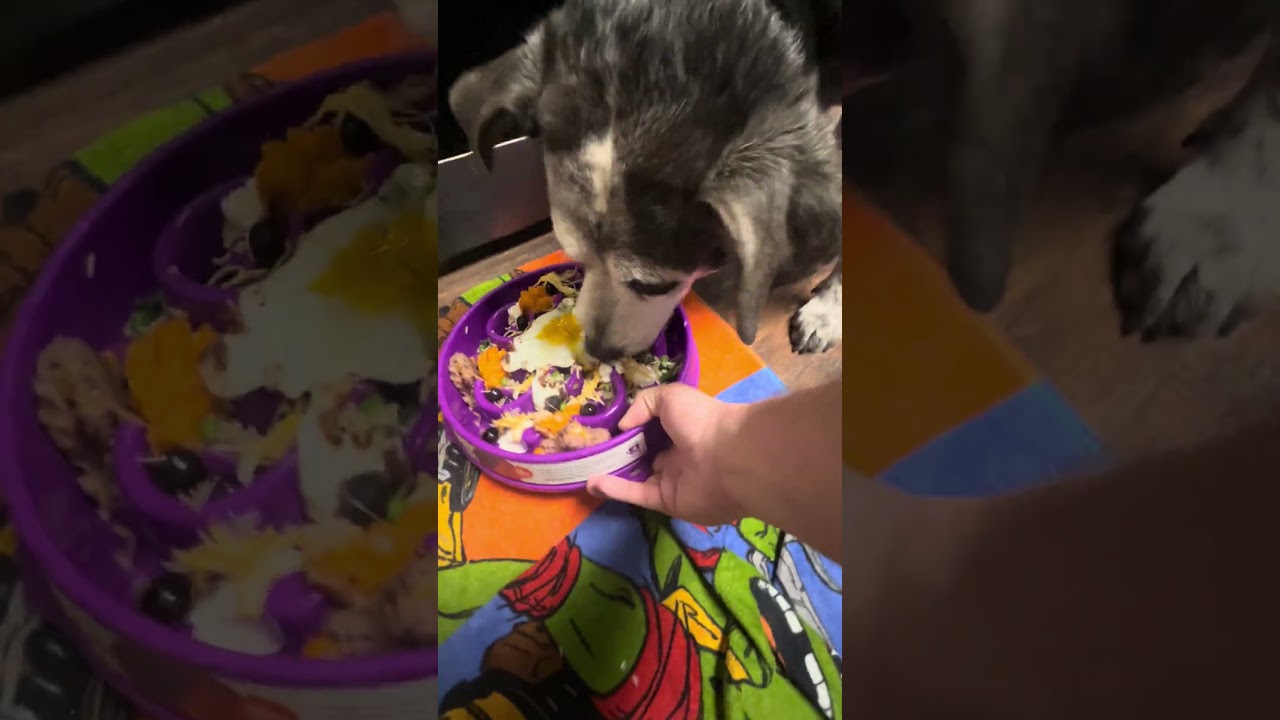 Сочные Люси!! 