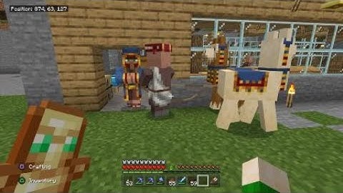 Minecraft survival Wandering Trader spawns catch on video