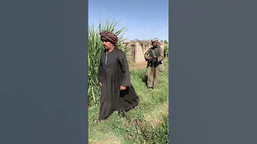 دولة الصعيد في مصر 